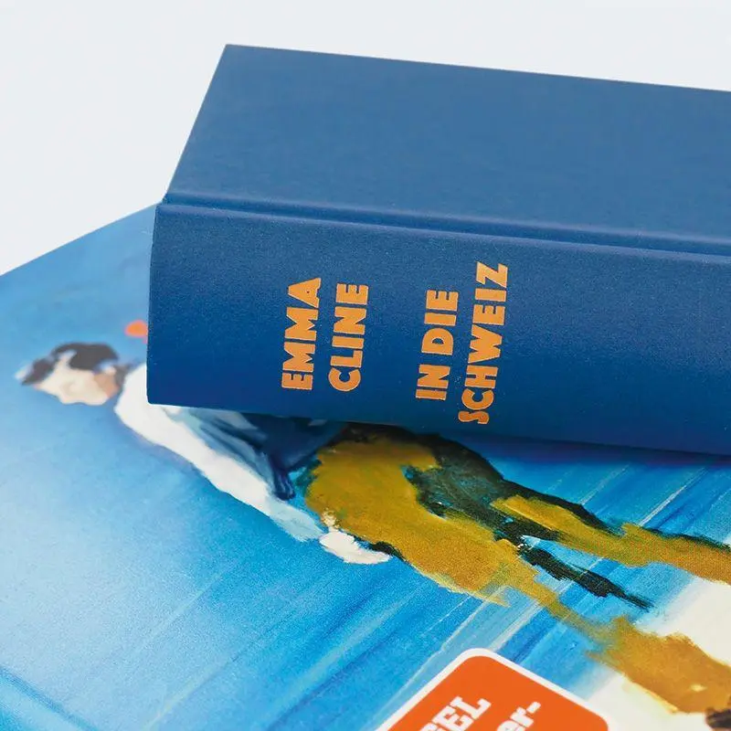 Bild: 9783446288379 | In die Schweiz | Roman | Emma Cline | Buch | 384 S. | Deutsch | 2026