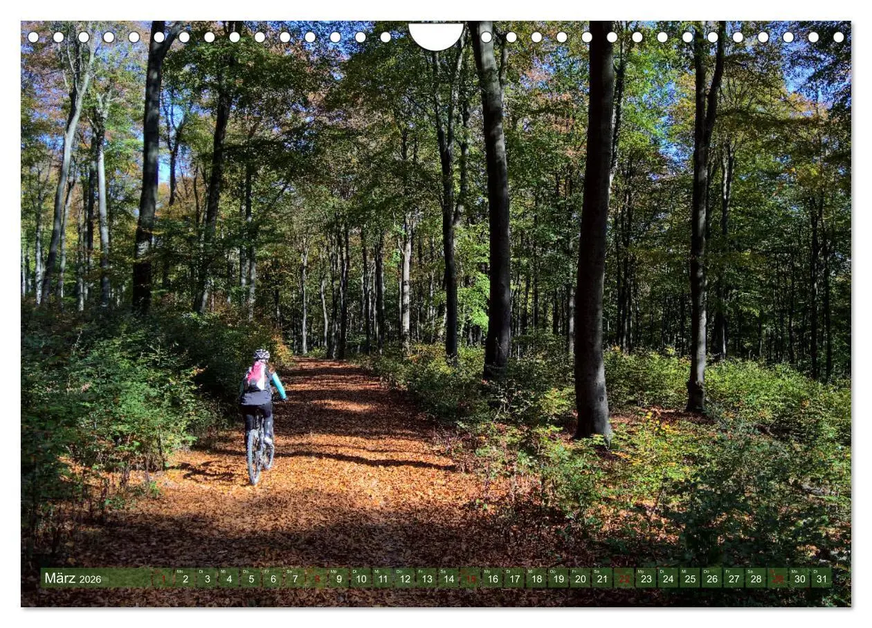 Bild: 9783457558379 | Biken - Impressionen von Rolf Dietz (Wandkalender 2026 DIN A4...