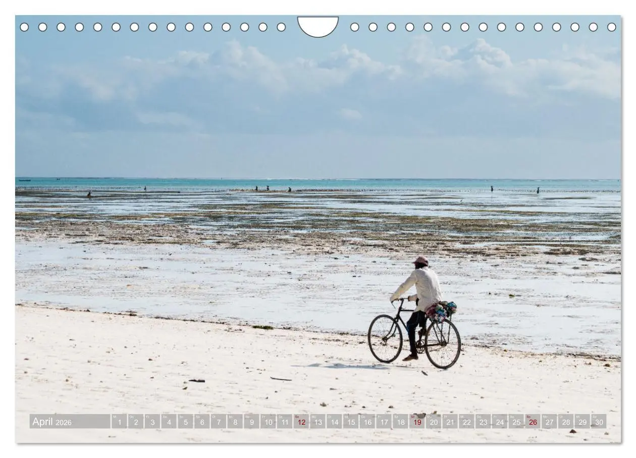 Bild: 9783457558379 | Biken - Impressionen von Rolf Dietz (Wandkalender 2026 DIN A4...