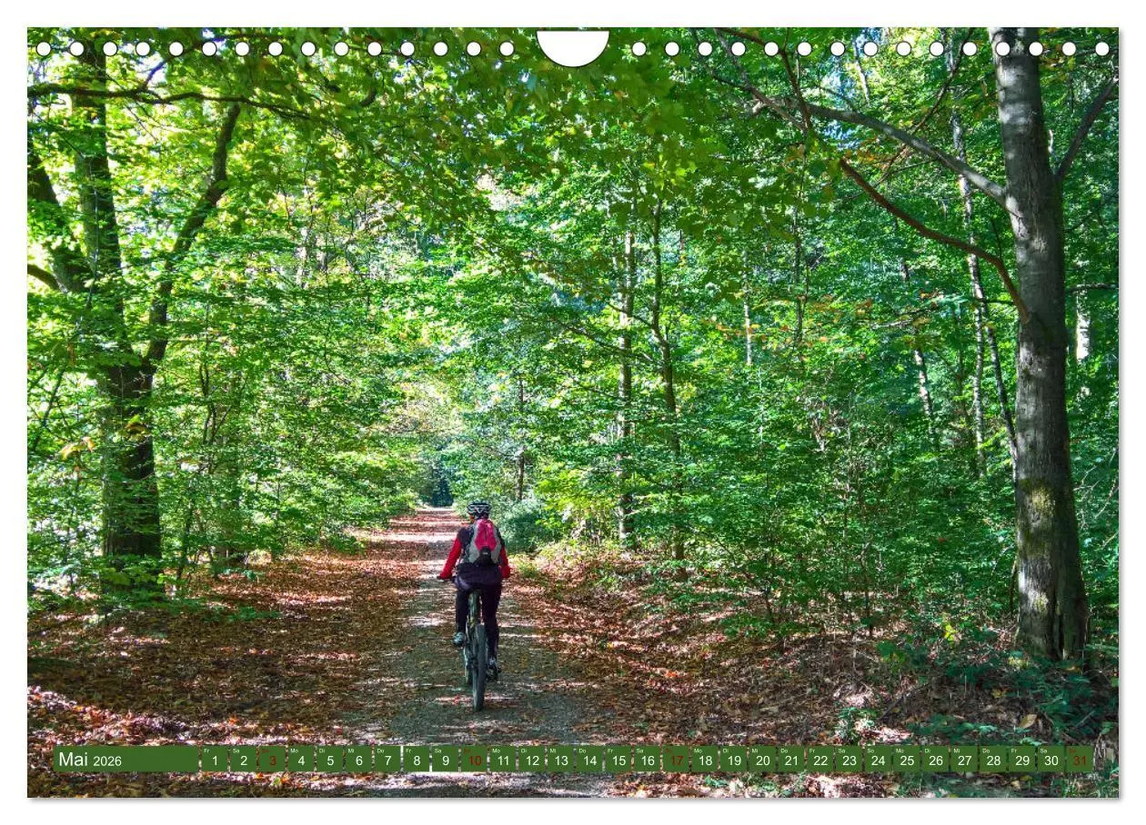 Bild: 9783457558379 | Biken - Impressionen von Rolf Dietz (Wandkalender 2026 DIN A4...
