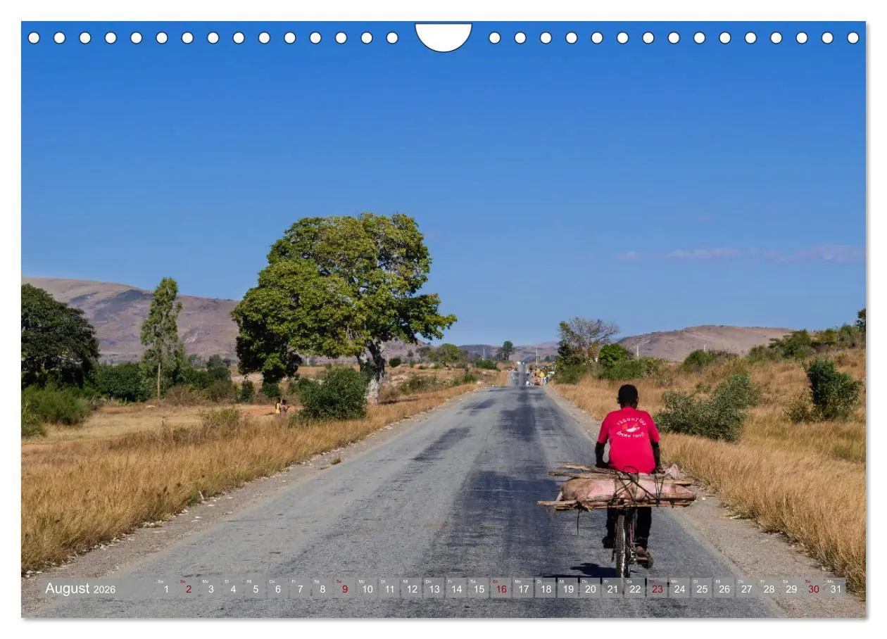 Bild: 9783457558379 | Biken - Impressionen von Rolf Dietz (Wandkalender 2026 DIN A4...