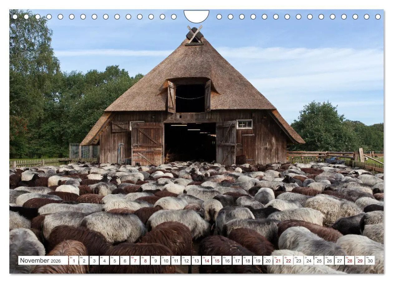 Bild: 9783457628379 | Die Lüneburger Heide - Ausflugsziel im Norden (Wandkalender 2026...