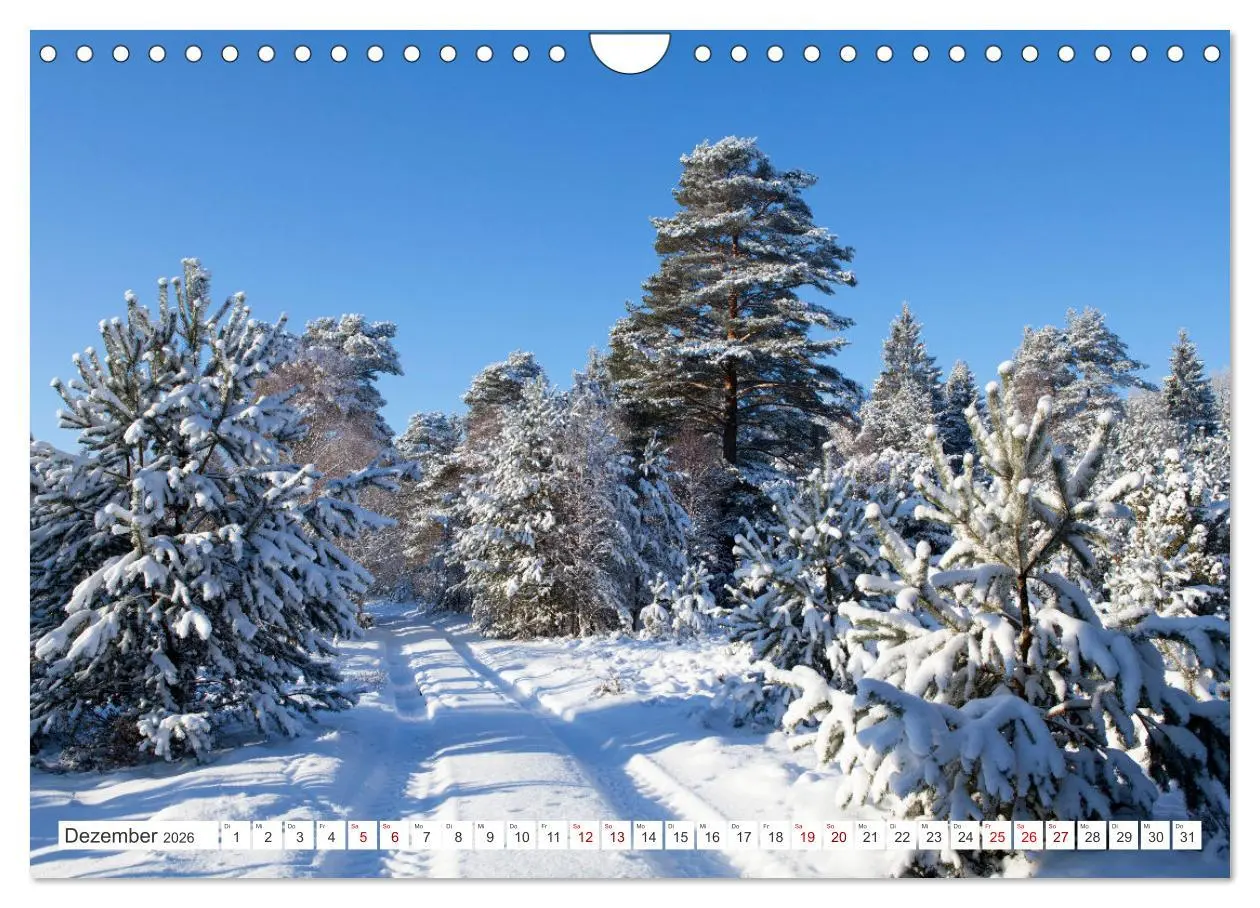 Bild: 9783457628379 | Die Lüneburger Heide - Ausflugsziel im Norden (Wandkalender 2026...