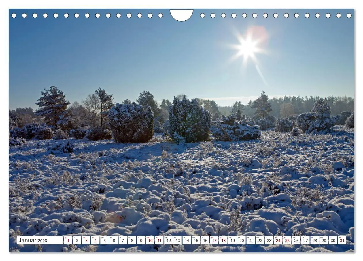 Bild: 9783457628379 | Die Lüneburger Heide - Ausflugsziel im Norden (Wandkalender 2026...