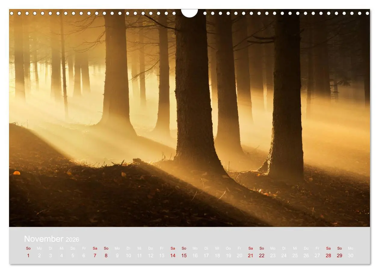 Bild: 9783457868379 | Im Lichtglanz der Jahreszeiten (Wandkalender 2026 DIN A3 quer),...