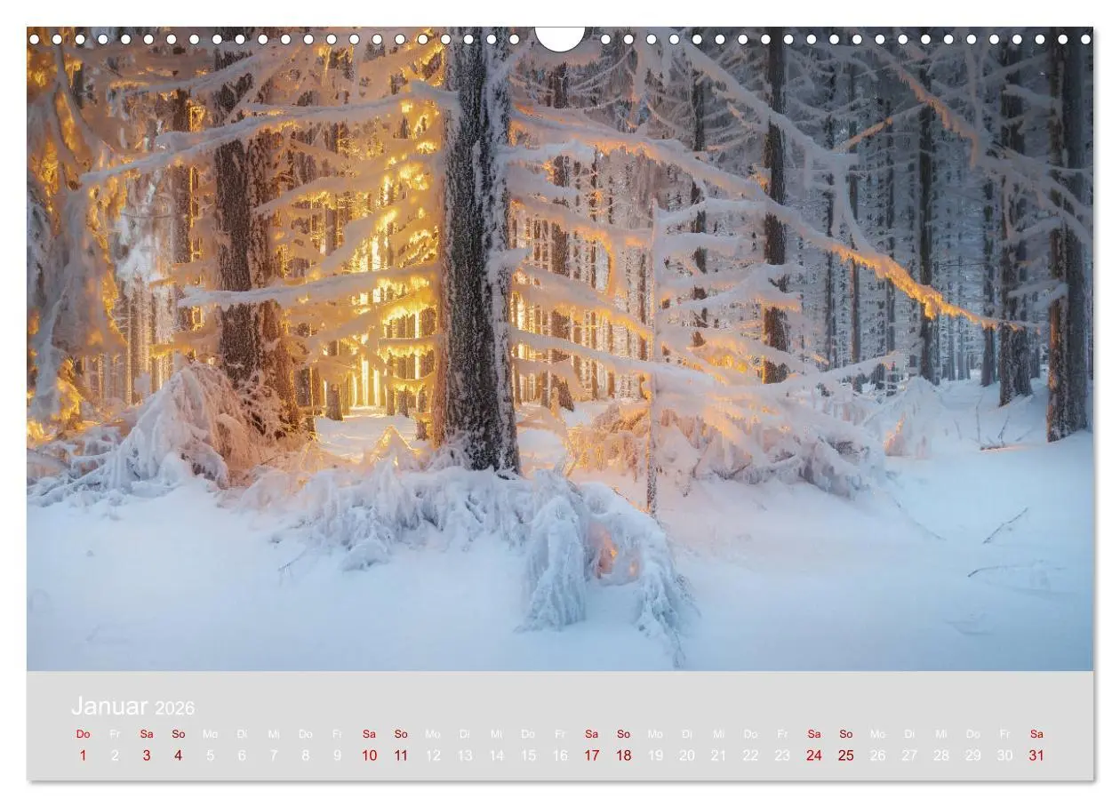 Bild: 9783457868379 | Im Lichtglanz der Jahreszeiten (Wandkalender 2026 DIN A3 quer),...