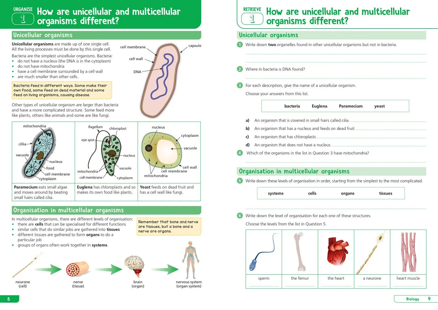 Bild: 9780008598679 | Ks3 Science Year 7: Organise and Retrieve Your Knowledge | Collins