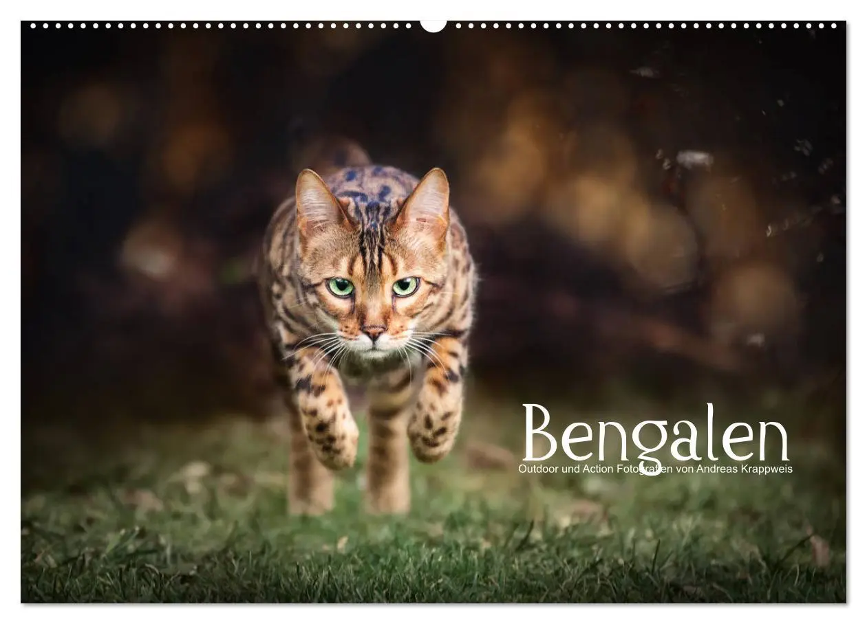 Cover: 9783457838679 | Bengalen Outdoor und Action (Wandkalender 2026 DIN A2 quer),...