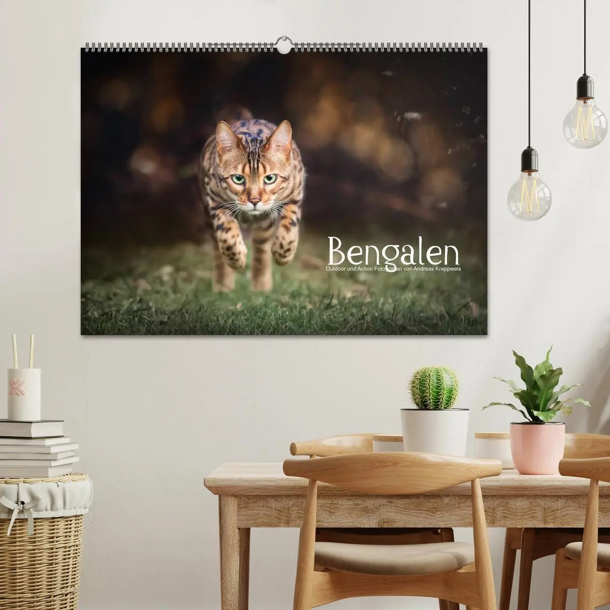 Bild: 9783457838679 | Bengalen Outdoor und Action (Wandkalender 2026 DIN A2 quer),...