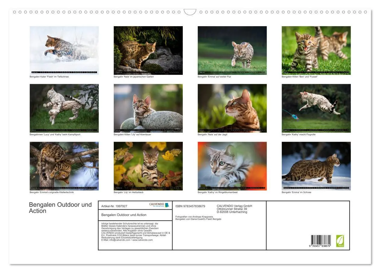 Bild: 9783457838679 | Bengalen Outdoor und Action (Wandkalender 2026 DIN A2 quer),...