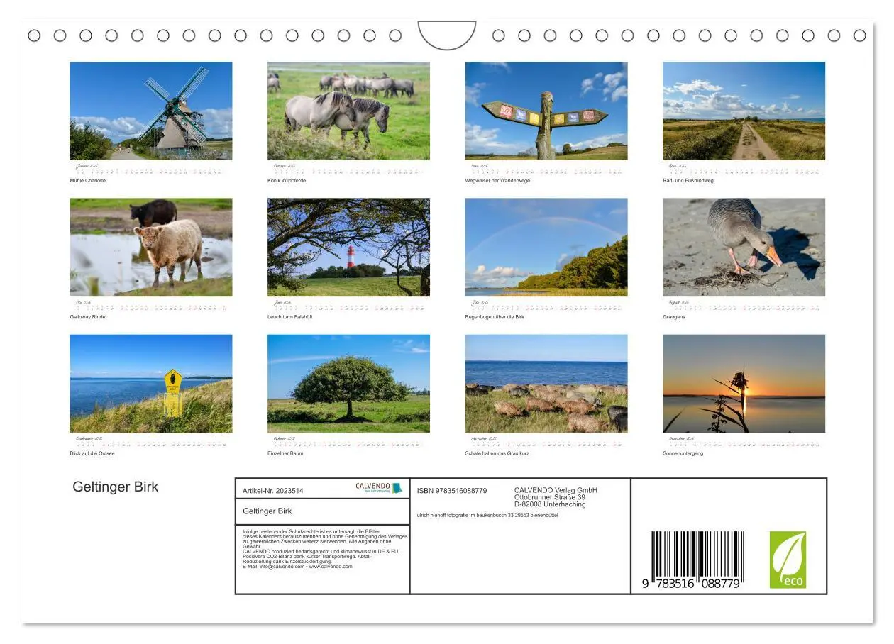 Bild: 9783516088779 | Geltinger Birk (Wandkalender 2026 DIN A4 quer), CALVENDO...