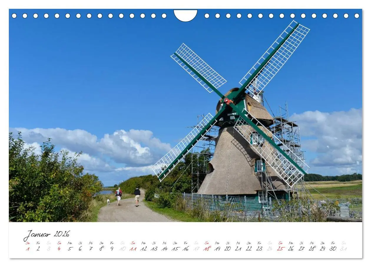 Bild: 9783516088779 | Geltinger Birk (Wandkalender 2026 DIN A4 quer), CALVENDO...