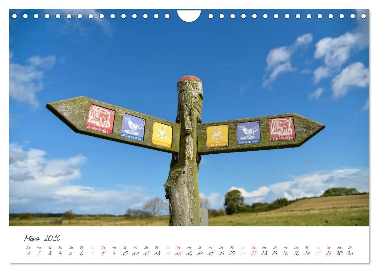 Bild: 9783516088779 | Geltinger Birk (Wandkalender 2026 DIN A4 quer), CALVENDO...