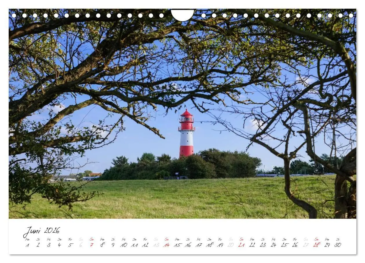 Bild: 9783516088779 | Geltinger Birk (Wandkalender 2026 DIN A4 quer), CALVENDO...