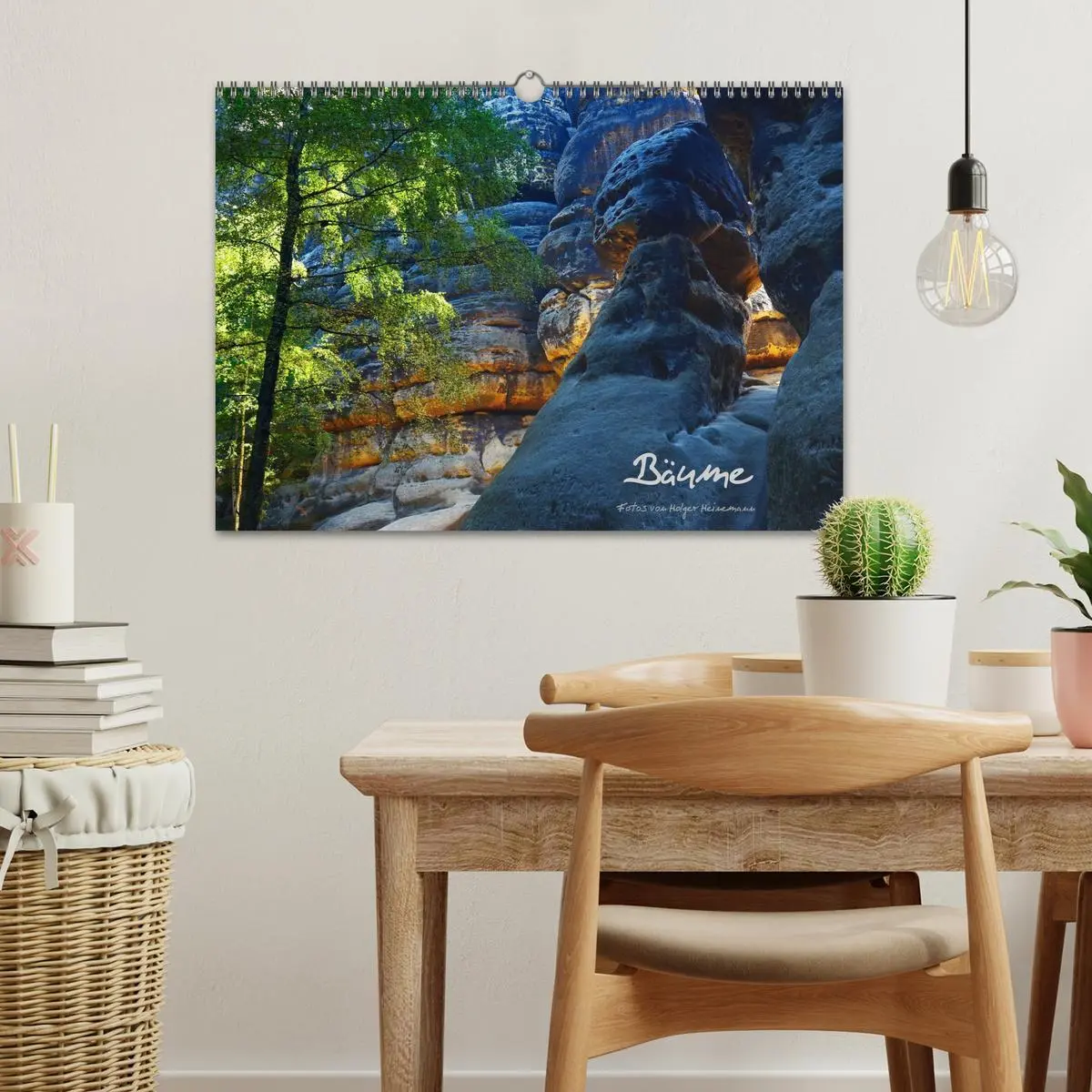 Bild: 9783516228779 | Bäume (Wandkalender 2026 DIN A3 quer), CALVENDO Monatskalender | 2026