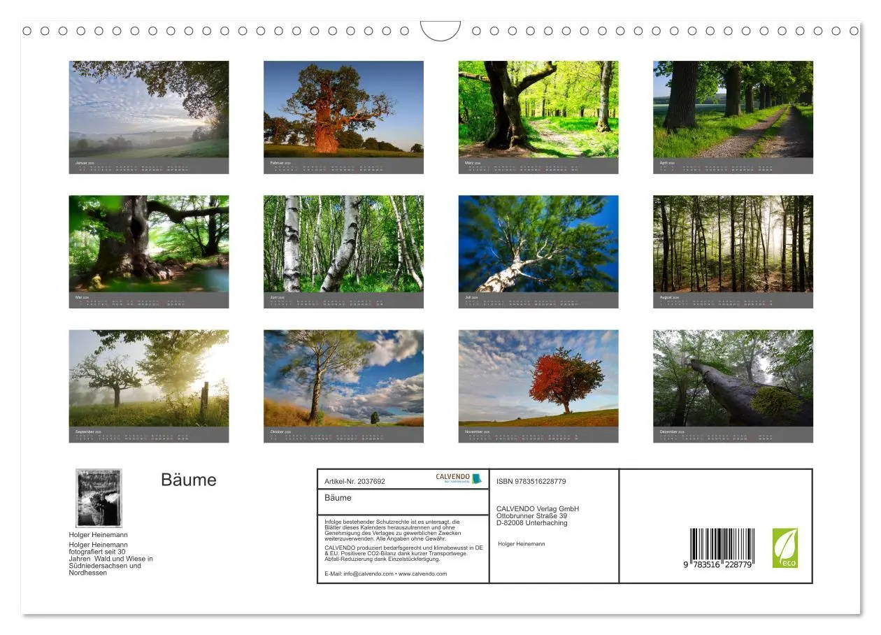 Bild: 9783516228779 | Bäume (Wandkalender 2026 DIN A3 quer), CALVENDO Monatskalender | 2026