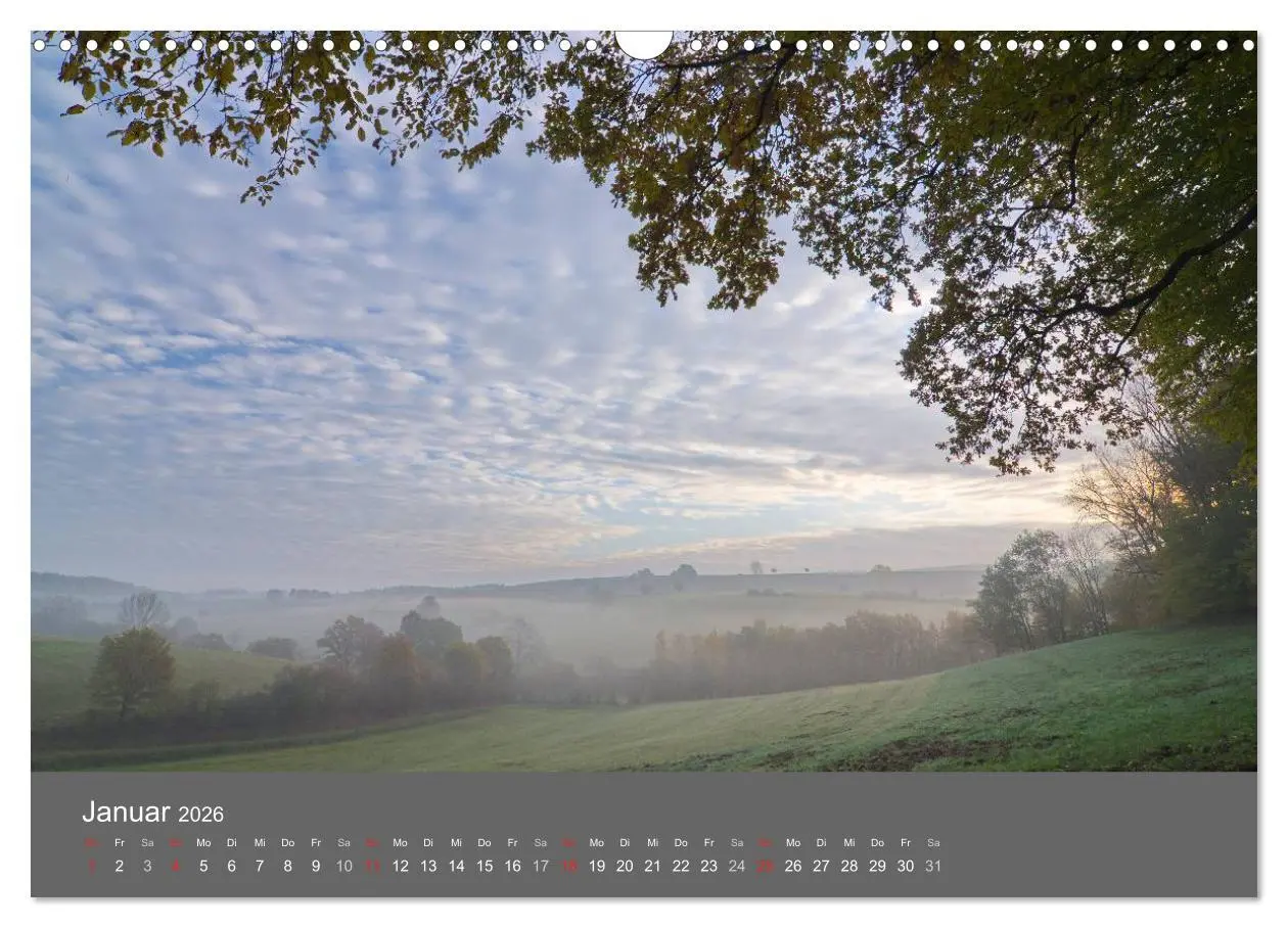 Bild: 9783516228779 | Bäume (Wandkalender 2026 DIN A3 quer), CALVENDO Monatskalender | 2026