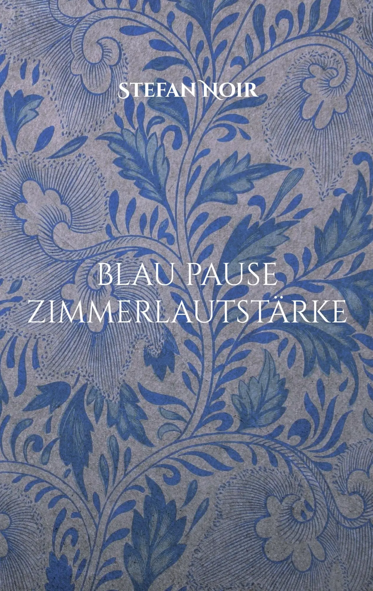 Cover: 9783695118779 | blau pause zimmerlautstärke | Stefan Noir | Taschenbuch | 42 S. | 2025