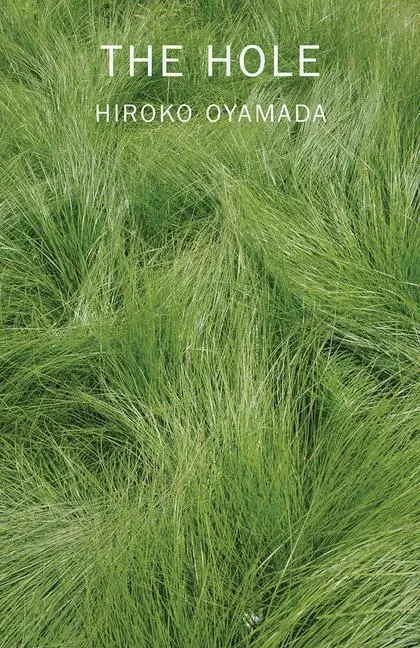 Cover: 9780811228879 | The Hole | Hiroko Oyamada | Taschenbuch | Kartoniert / Broschiert