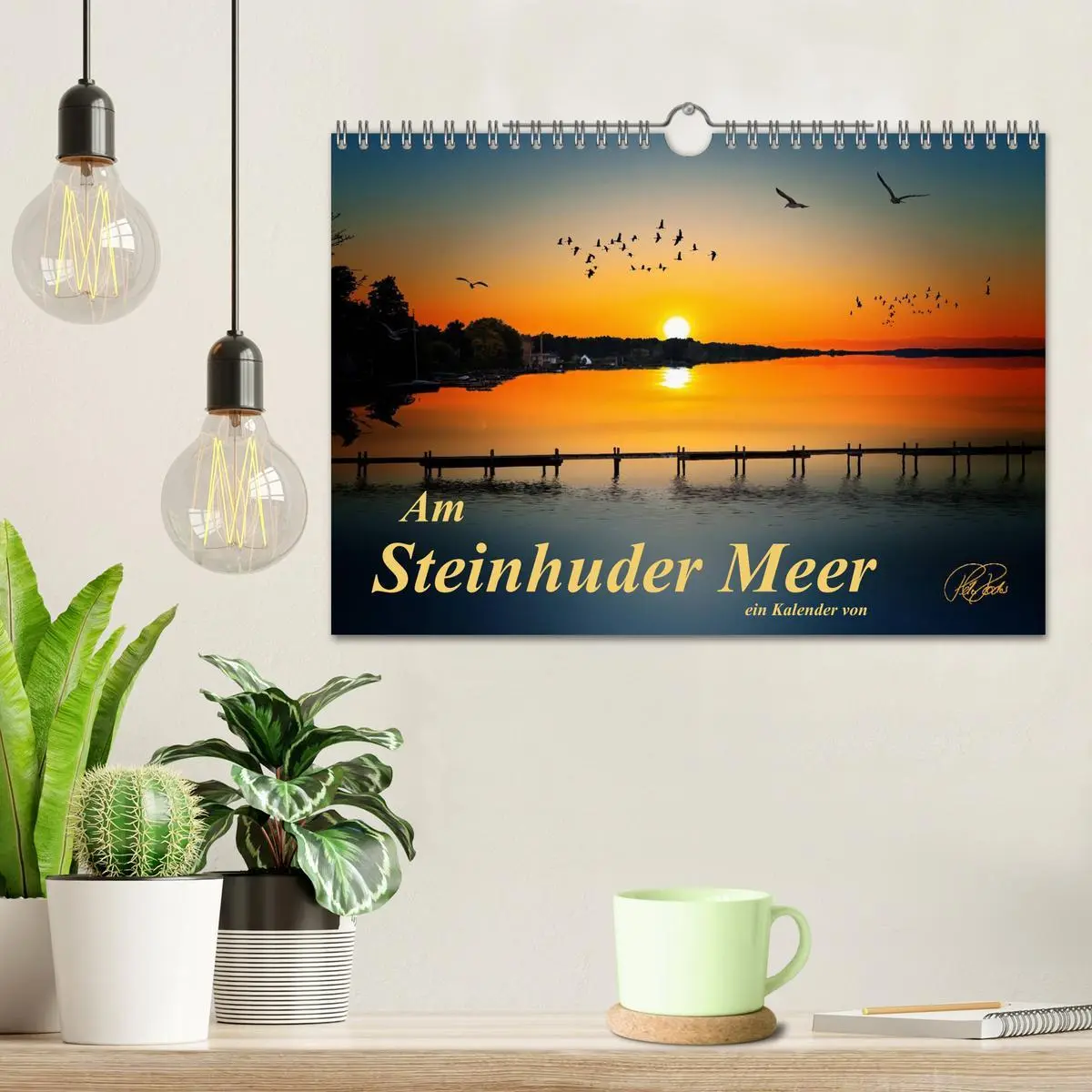 Bild: 9783516148879 | Am Steinhuder Meer (Wandkalender 2026 DIN A4 quer), CALVENDO...