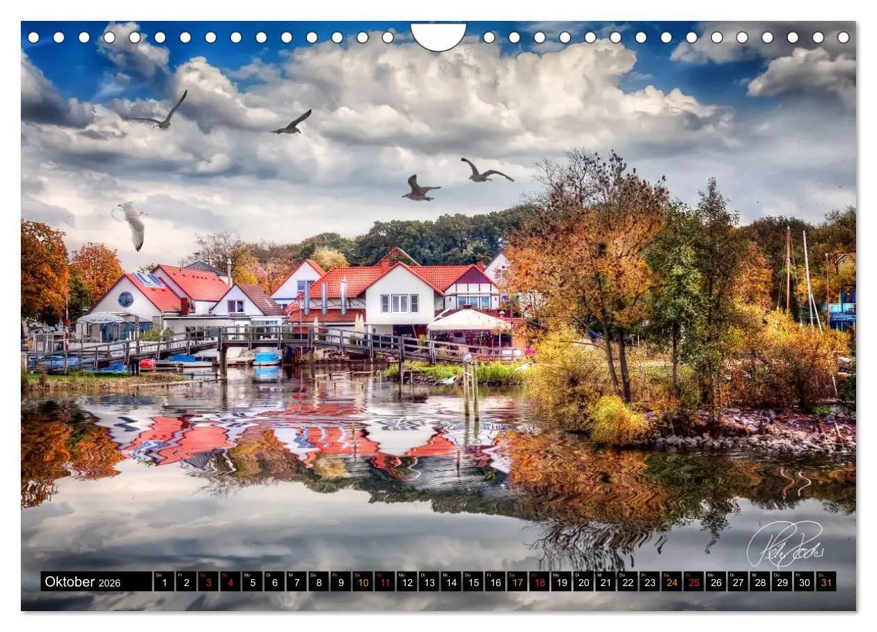 Bild: 9783516148879 | Am Steinhuder Meer (Wandkalender 2026 DIN A4 quer), CALVENDO...