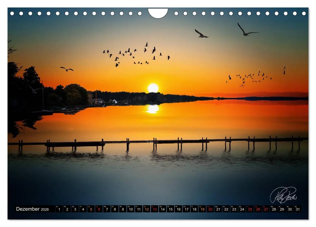 Bild: 9783516148879 | Am Steinhuder Meer (Wandkalender 2026 DIN A4 quer), CALVENDO...