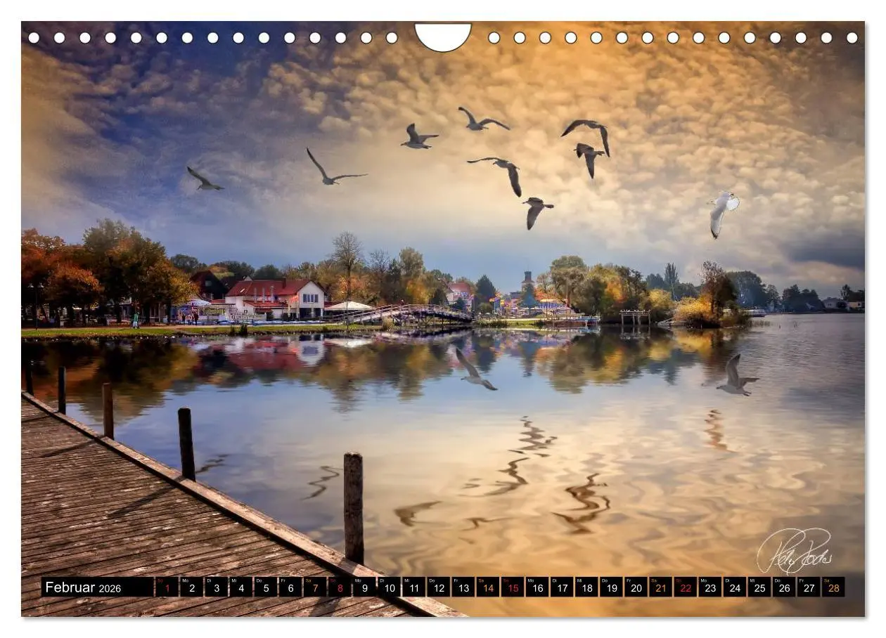 Bild: 9783516148879 | Am Steinhuder Meer (Wandkalender 2026 DIN A4 quer), CALVENDO...
