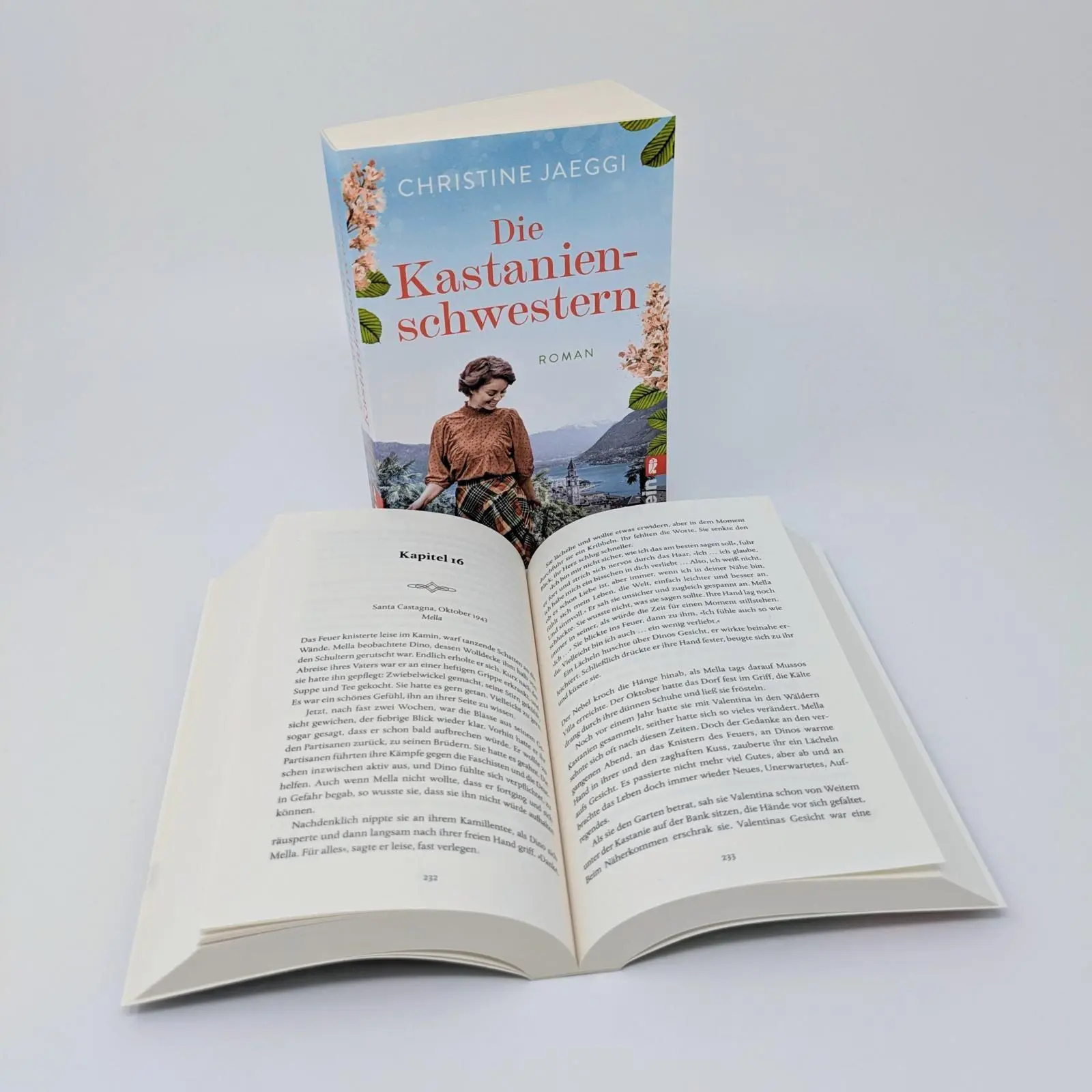 Bild: 9783548068879 | Die Kastanienschwestern | Christine Jaeggi | Taschenbuch | 432 S.