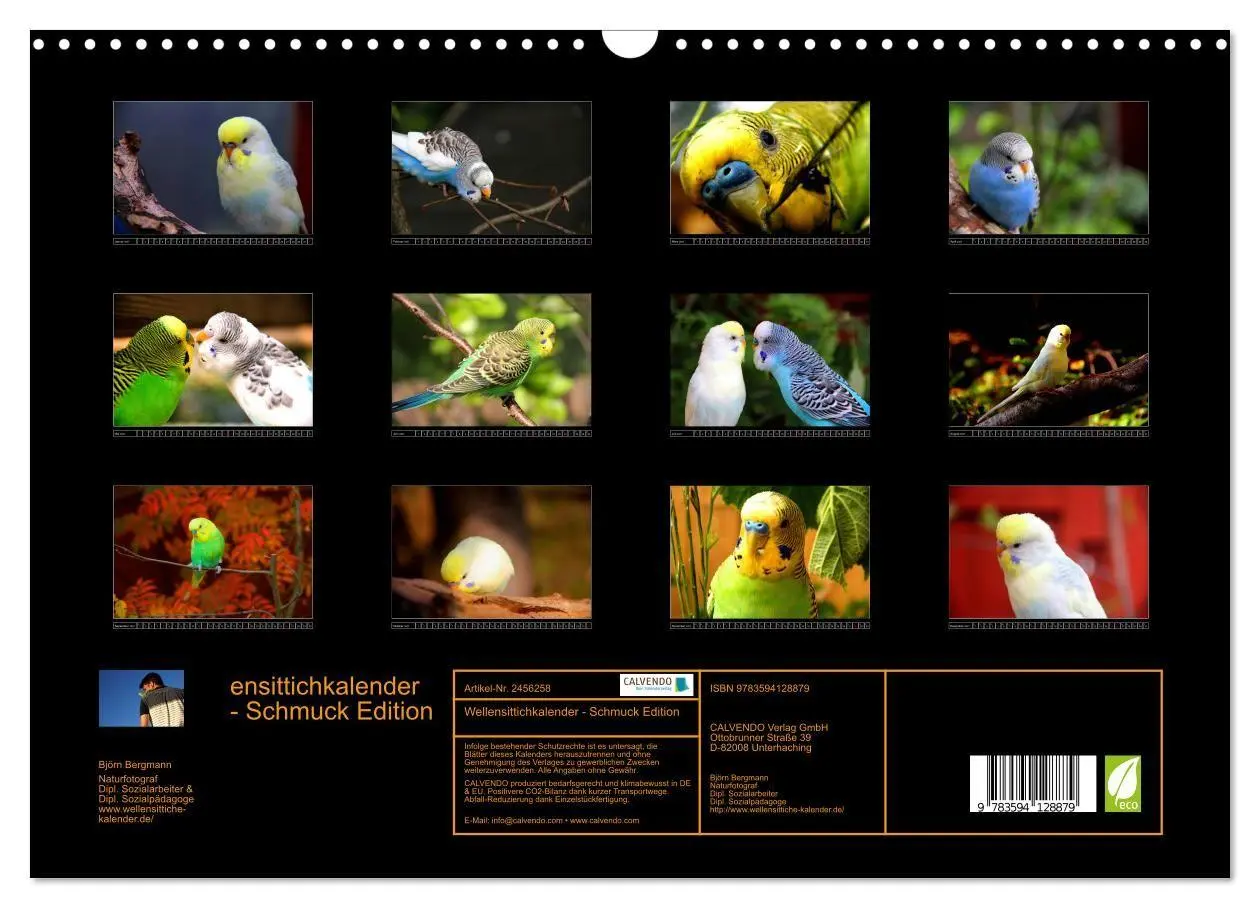 Bild: 9783594128879 | Wellensittichkalender - Schmuck Edition (Wandkalender 2027 DIN A3...