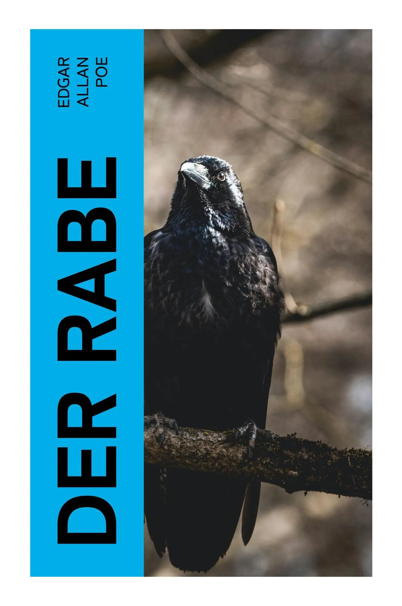 Cover: 9788027348879 | Der Rabe | Mit einer Biografie von Edgar Allan Poe | Edgar Allan Poe