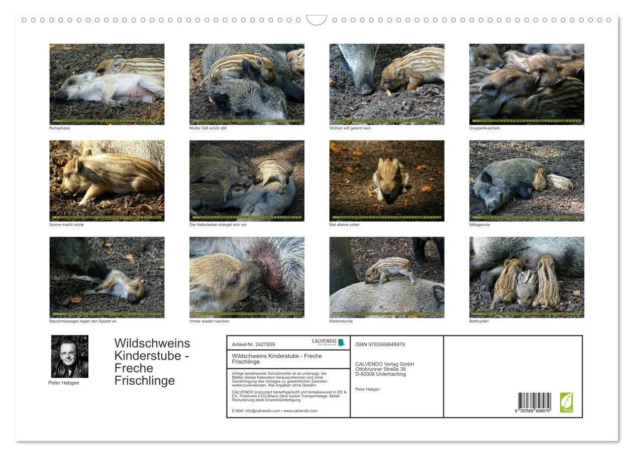 Bild: 9783569848979 | Wildschweins Kinderstube - Freche Frischlinge (Wandkalender 2027...