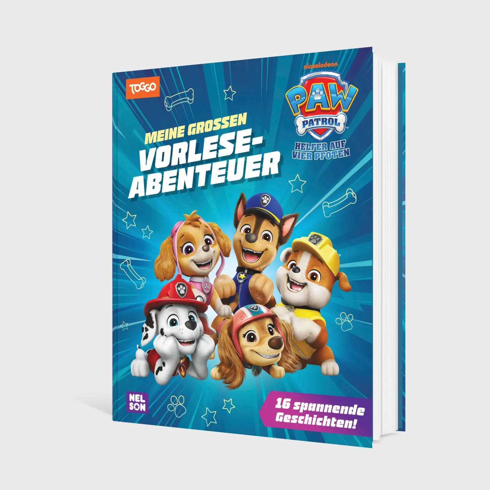 Bild: 9783845128979 | PAW Patrol Geschichtenbuch: Meine großen Vorleseabenteuer | Buch