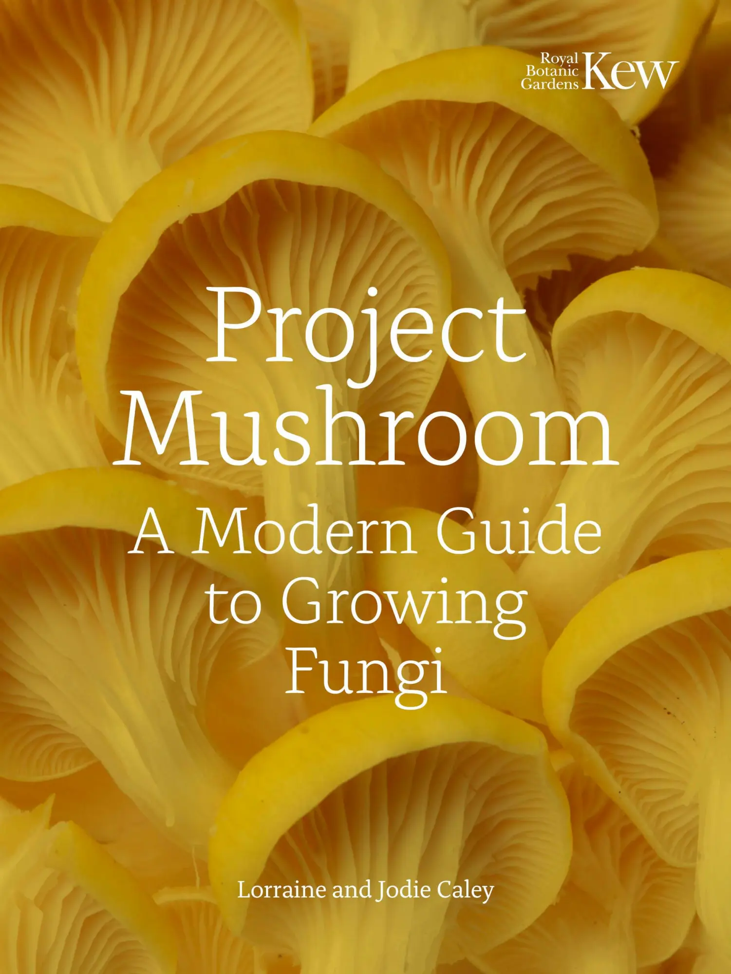 Cover: 9780711289079 | Project Mushroom | A Modern Guide to Growing Fungi | Bryan (u. a.)