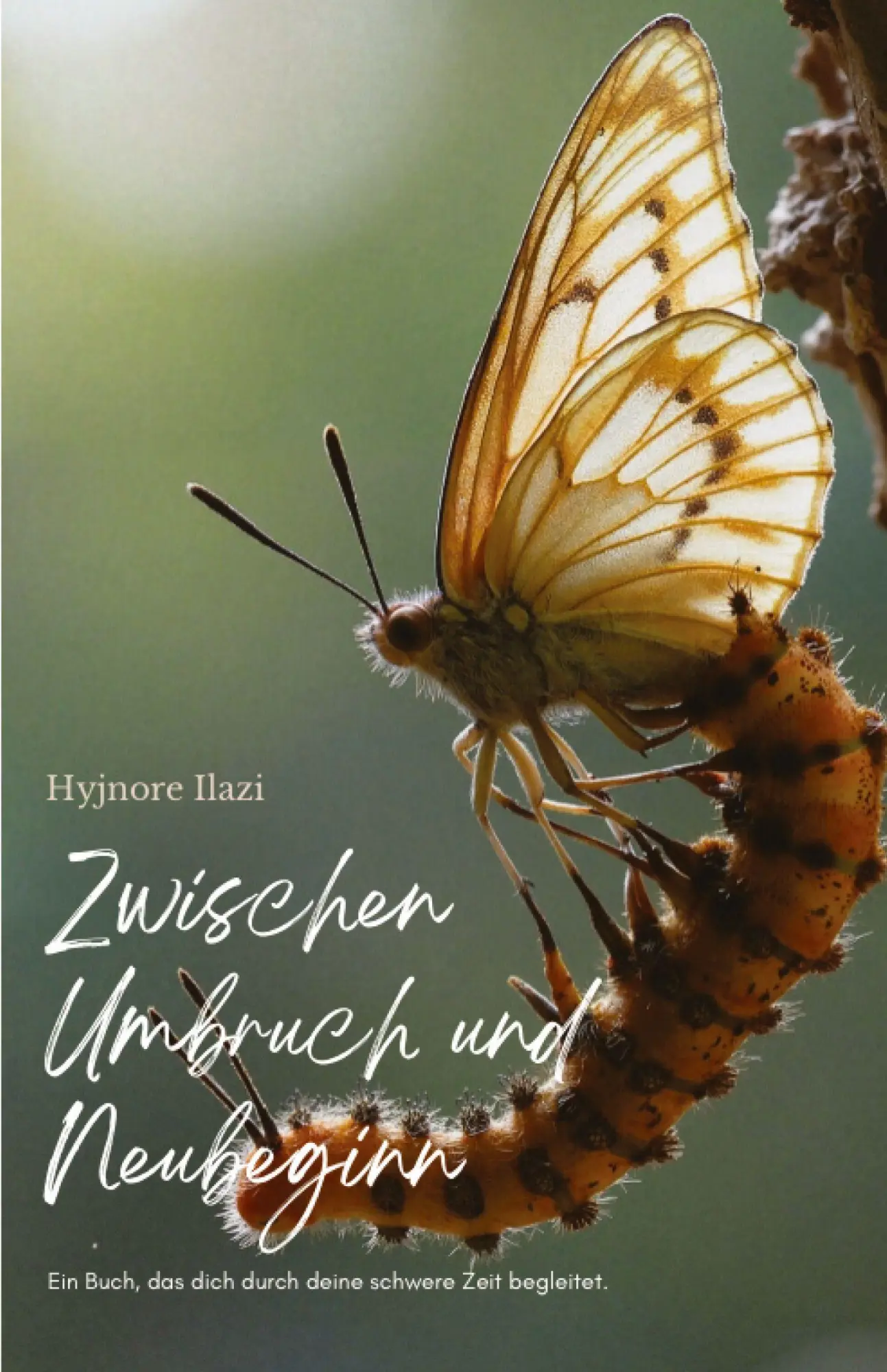 Cover: 9783384749079 | Zwischen Umbruch und Neubeginn | Hyjnore Ilazi | Taschenbuch | 108 S.