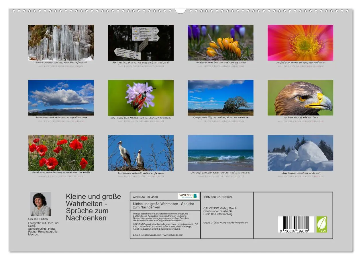 Bild: 9783516199079 | Kleine und große Wahrheiten - Sprüche zum Nachdenken (hochwertiger...