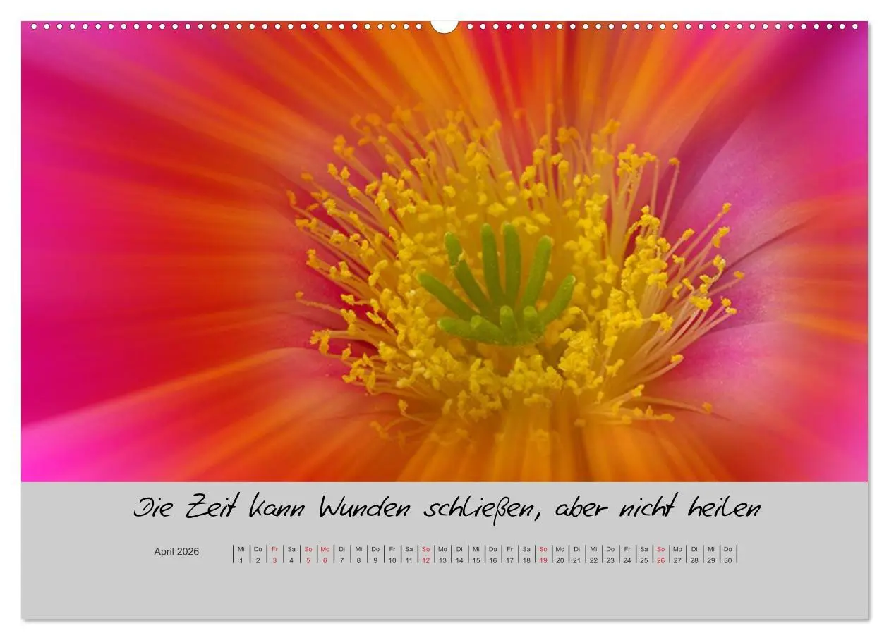 Bild: 9783516199079 | Kleine und große Wahrheiten - Sprüche zum Nachdenken (hochwertiger...
