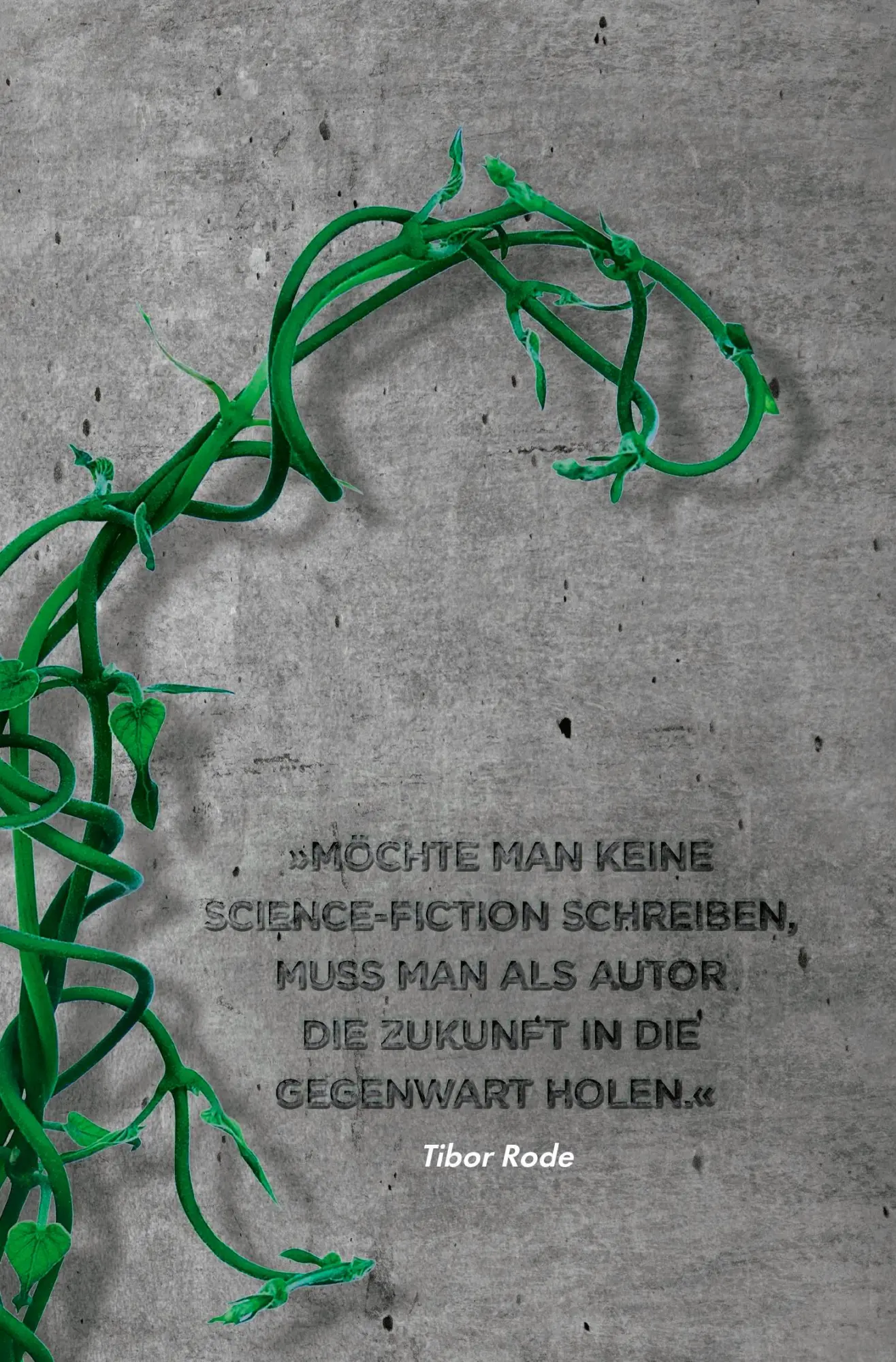 Bild: 9783426309179 | Der Wald | Tibor Rode | Taschenbuch | 464 S. | Deutsch | 2025