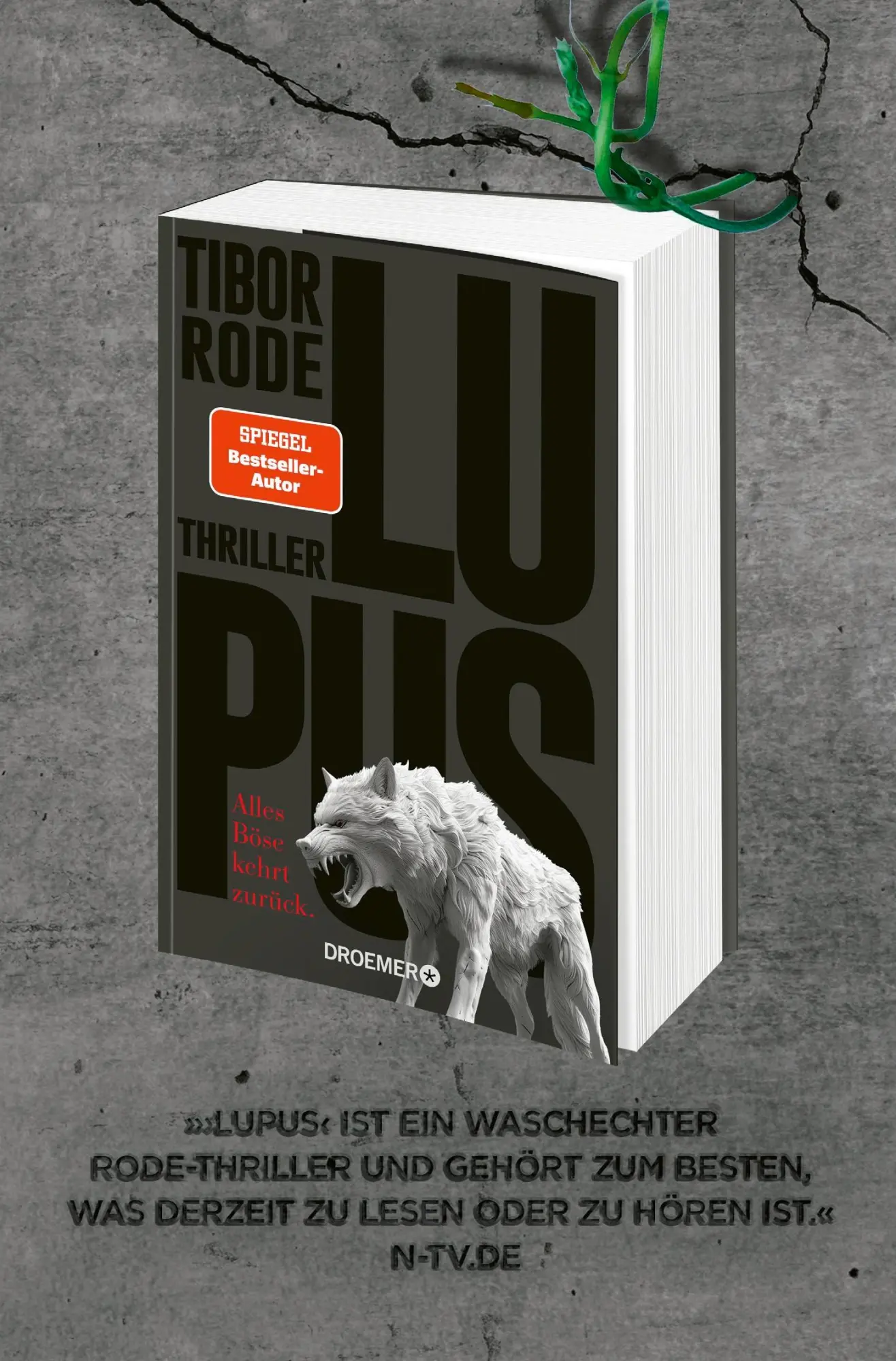 Bild: 9783426309179 | Der Wald | Tibor Rode | Taschenbuch | 464 S. | Deutsch | 2025