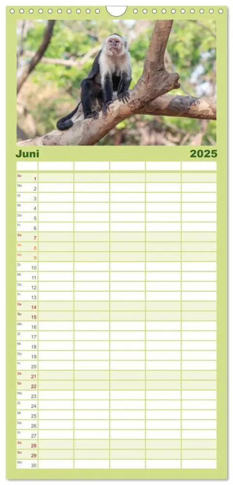 Bild: 9783457099179 | Familienplaner 2025 - Costa Rica - Tropische Tierwelt mit 5 Spalten...
