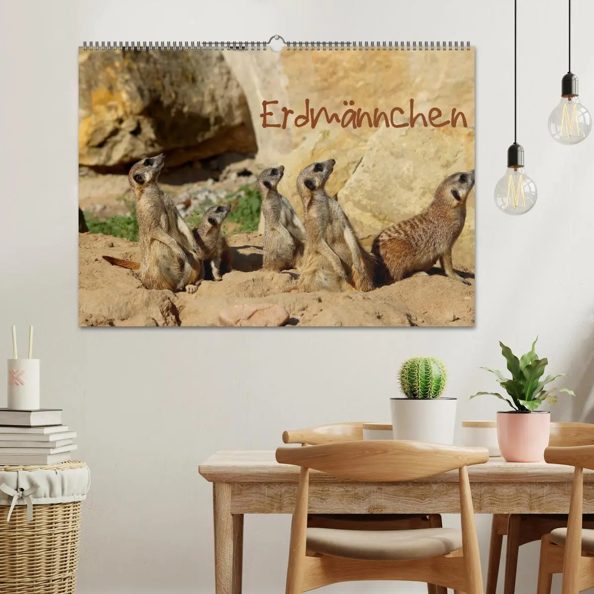 Bild: 9783516189179 | Erdmännchen (Wandkalender 2026 DIN A2 quer), CALVENDO Monatskalender