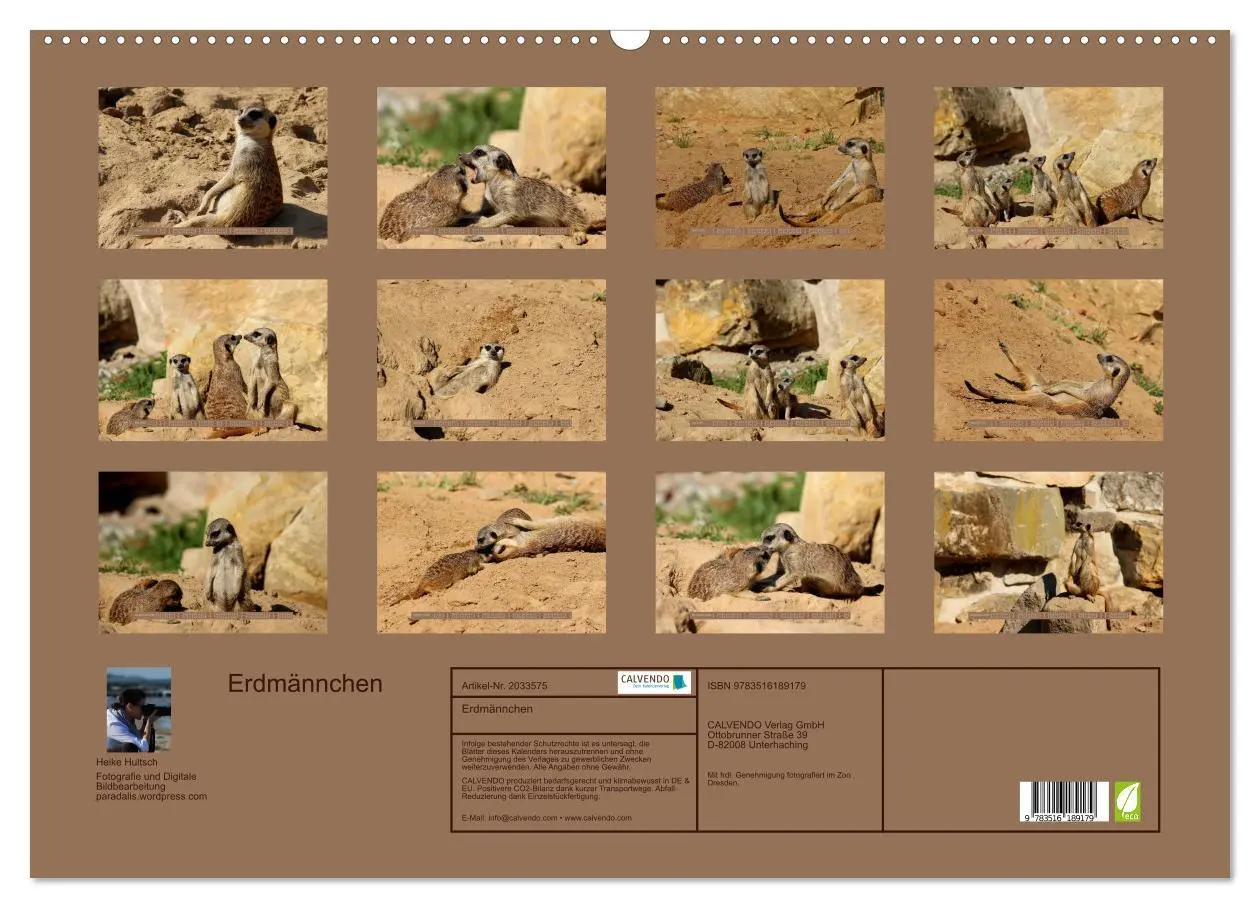 Bild: 9783516189179 | Erdmännchen (Wandkalender 2026 DIN A2 quer), CALVENDO Monatskalender