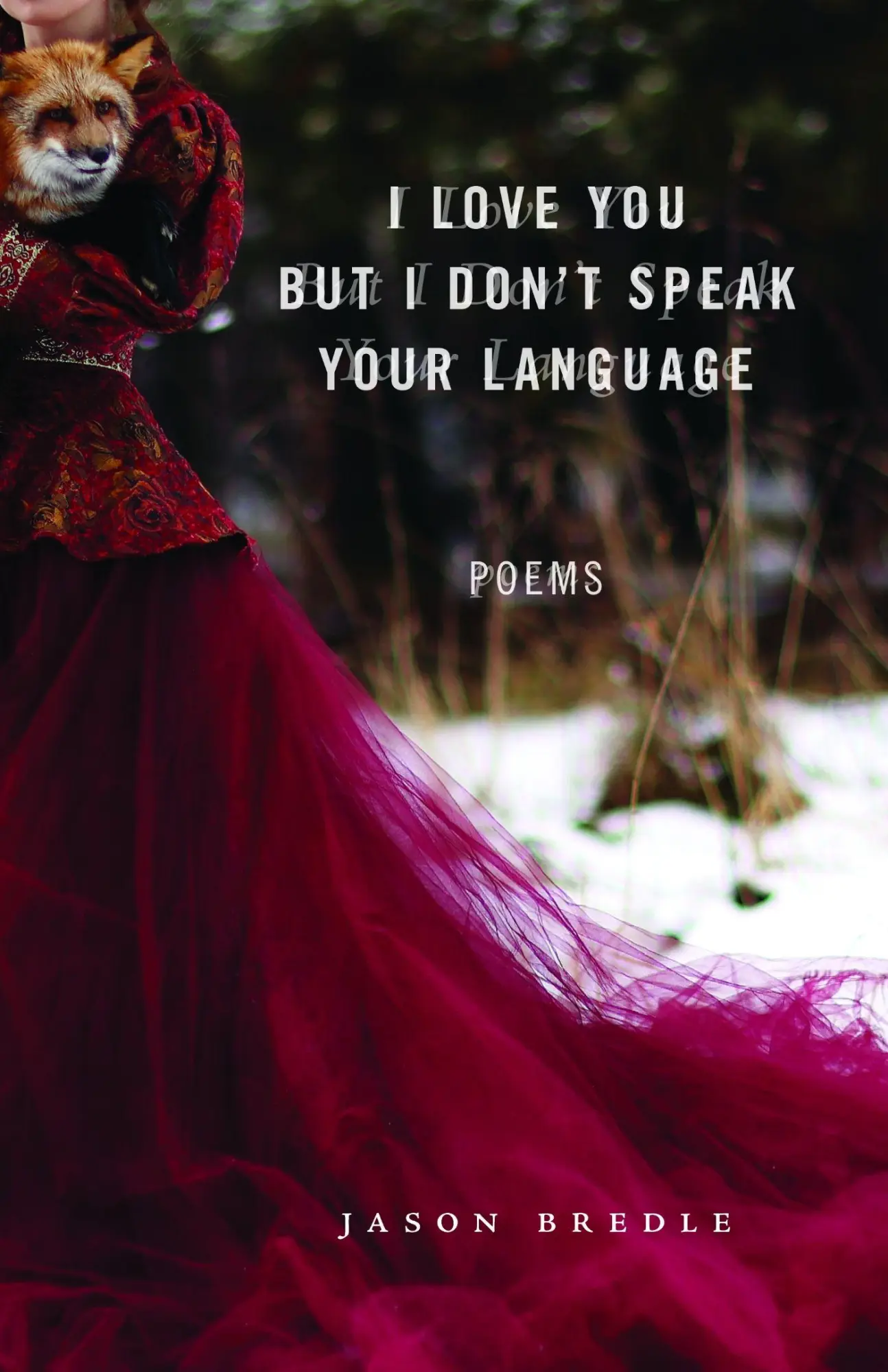 Cover: 9781625349279 | I Love You but I Don't Speak Your Language | Poems | Jason Bredle