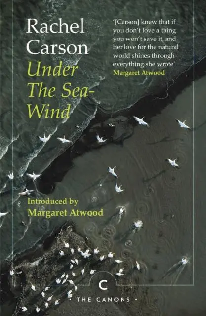 Cover: 9781786899279 | Under the Sea-Wind | Rachel Carson | Taschenbuch | XVI | Englisch
