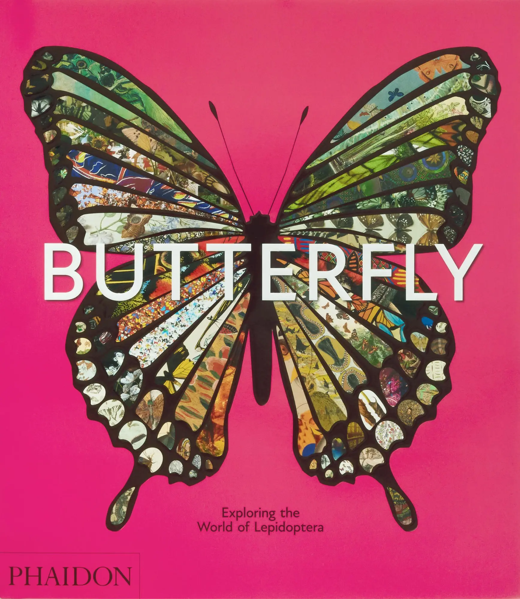 Cover: 9781838669379 | Butterfly: Exploring the World of Lepidoptera (2025) | David . G James