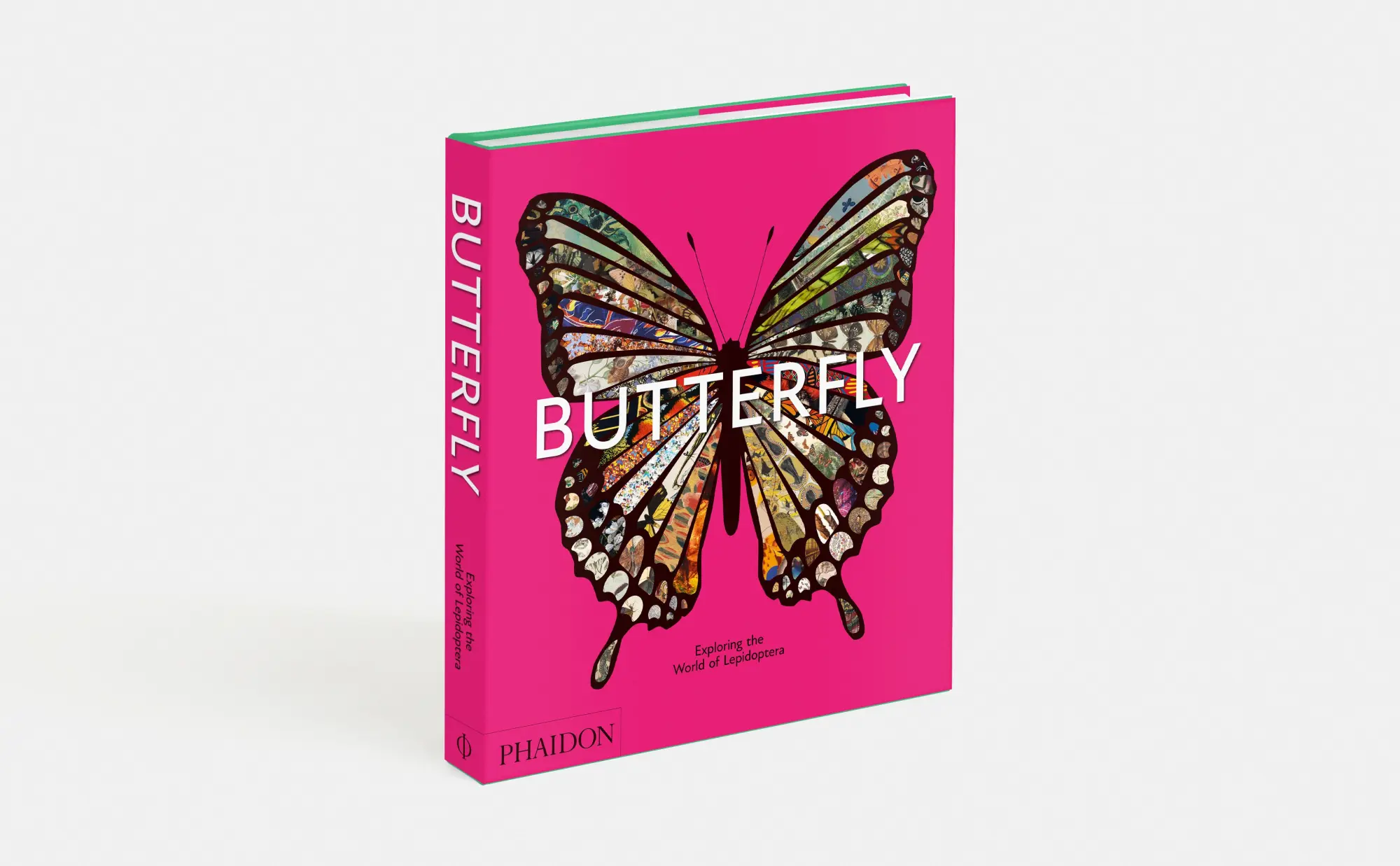 Bild: 9781838669379 | Butterfly: Exploring the World of Lepidoptera (2025) | David . G James