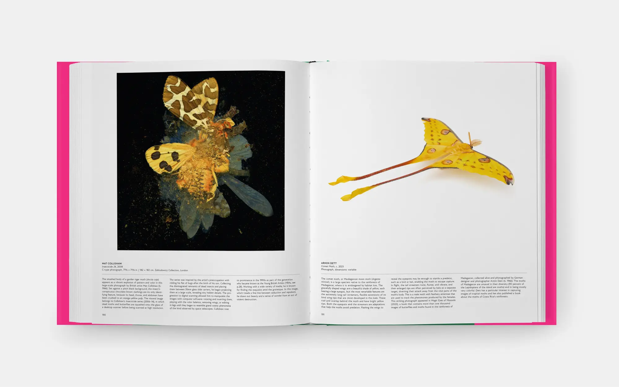 Bild: 9781838669379 | Butterfly: Exploring the World of Lepidoptera (2025) | David . G James