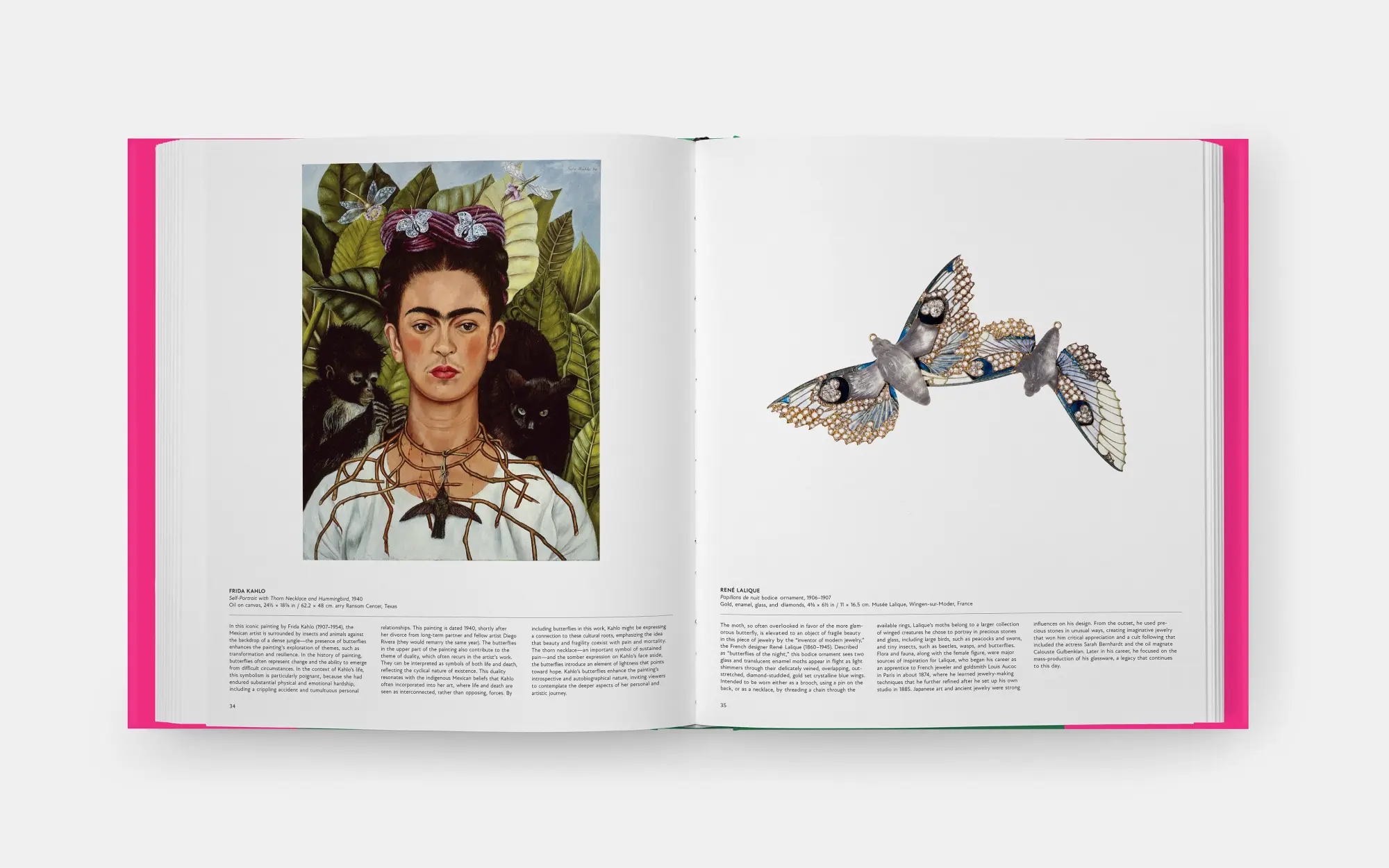 Bild: 9781838669379 | Butterfly: Exploring the World of Lepidoptera (2025) | David . G James