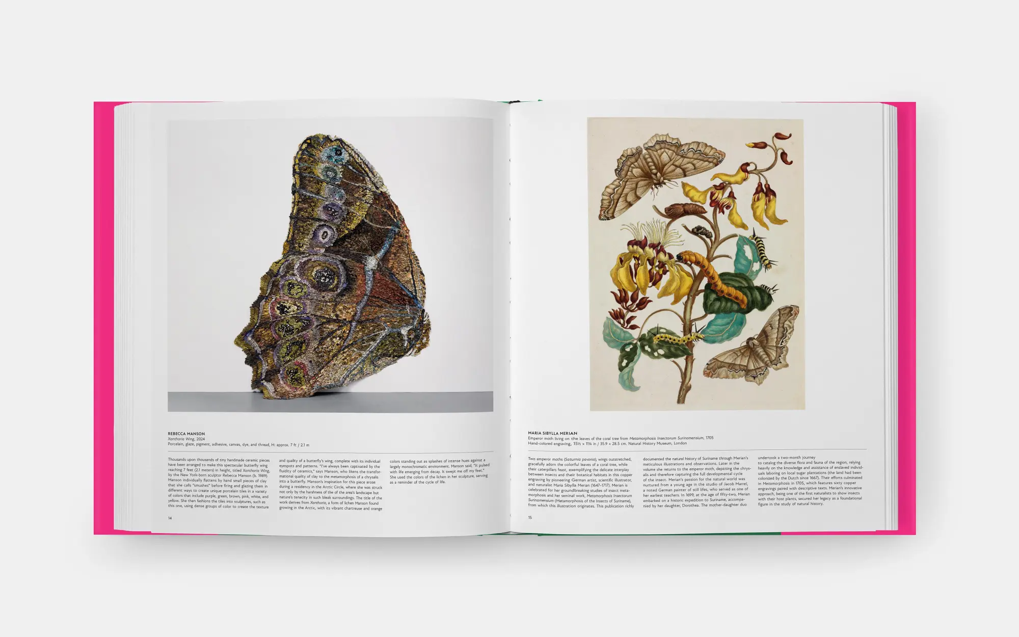 Bild: 9781838669379 | Butterfly: Exploring the World of Lepidoptera (2025) | David . G James