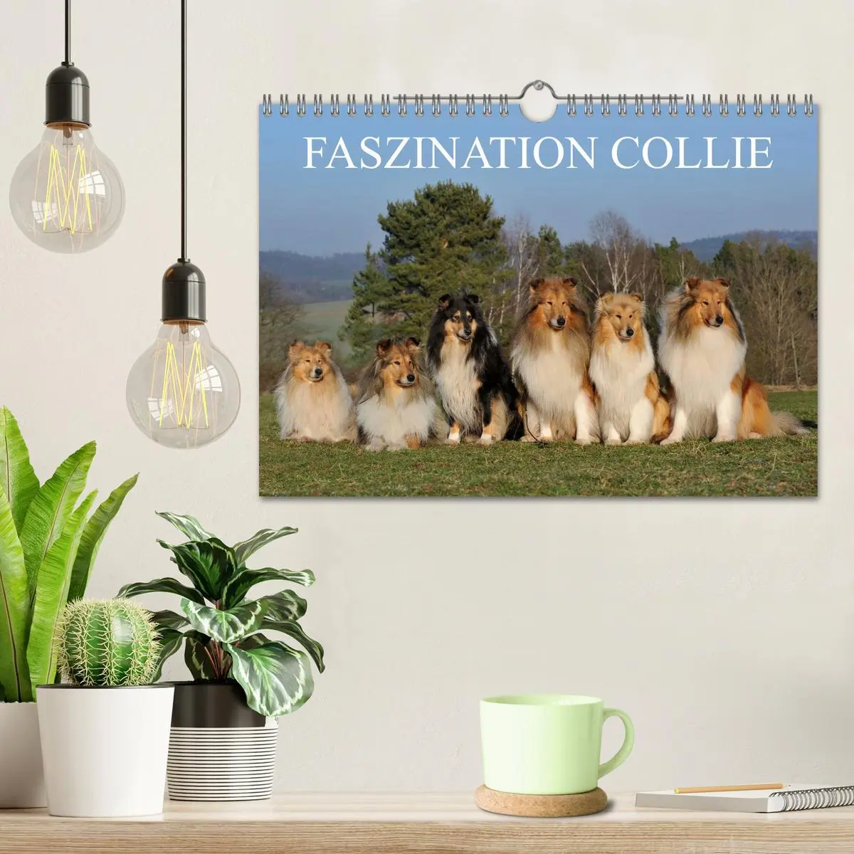 Bild: 9783516169379 | Faszination Collie 2026 (Wandkalender 2026 DIN A4 quer), CALVENDO...