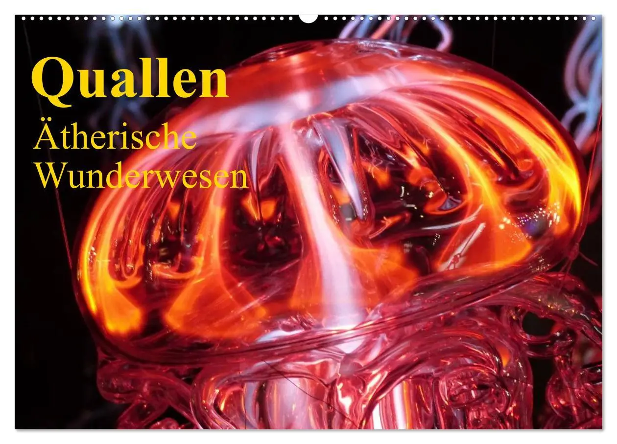 Cover: 9783516239379 | Quallen ¿ Ätherische Wunderwesen (Wandkalender 2026 DIN A2 quer),...